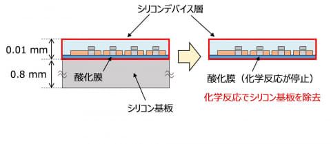 NHK技術研發：厚度僅0.01mm的曲面感光元件研發成功